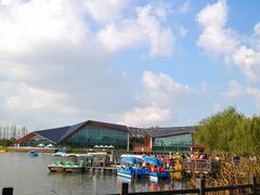 -上海长兴岛郊野公园