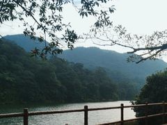 -广州市石门国家森林公园