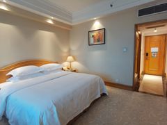 -南京维景国际大酒店(南京博物院店)