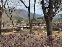 -无锡动物园·太湖欢乐园