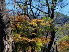 -玉渡山自然风景区