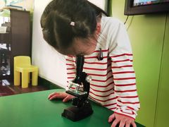 -上海闵行区阶梯吉美幼儿园