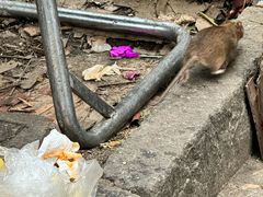 -南门绿玉农贸市场