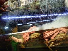 -桥东喜碧海鲜街(水东街店)