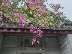 -深圳国际园林花卉博览园