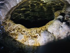 -圣母洞九天玄女宫