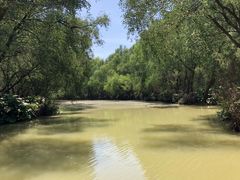 -大湾区中央湿地公园