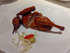 红烧乳鸽-東海海鲜酒家(中信广场店)