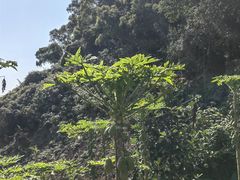-海口火山口国家地质公园