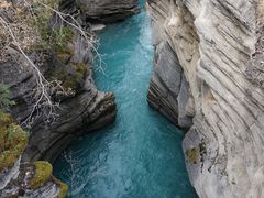 -阿萨巴斯卡瀑布观景点