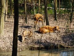 -溱湖国家湿地公园