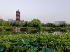 -西海子公园