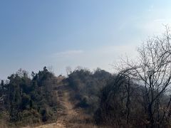 -青龙山国家森林公园