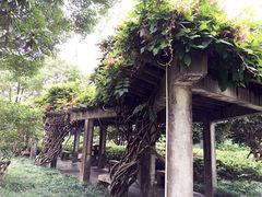 朱家角课植园-朱家角课植园