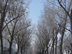 -人民防洪胜利纪念塔