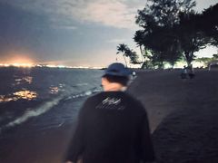 -东海岸人工湖美食村