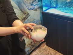 -肆月河豚·淮扬菜·湘菜(华天店)