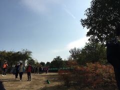 -武汉紫薇都市田园