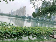-西北湖绿化广场
