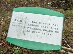-白塘生态植物园