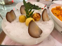 -喜鼎海胆水饺(平安金融中心店)