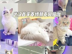 -极木²邸 人与宠物·互动社区