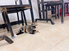 -玉椰林甜品店(创始店)