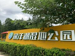 -渌洋湖湿地公园
