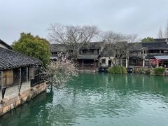 -乌镇西栅景区