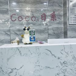 点击看大图 -Coco Salon 日系烫染专业店