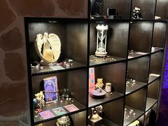 -雪灵魔法世界SHELLY’S TAROT(大良桂畔里店)