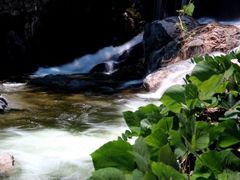 -终南山国家森林公园