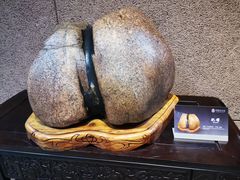 -中华赏石园