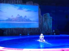 -华夏文旅海洋公园