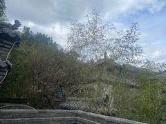 -老张烤羊(王哥庄店)