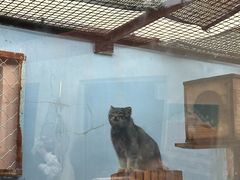 -青藏高原野生动物园