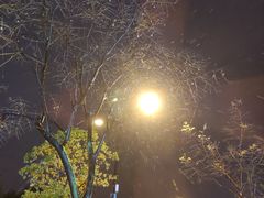-蜜雪冰城(浙江大学店)