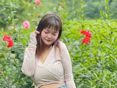 -合肥滨湖国家森林公园