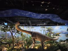 -陕西自然博物馆