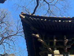 -北京国子监胡同