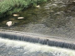 -陕西省红河谷森林公园