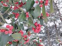 -南京市无想山景区