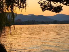 -浙江西子宾馆·瑶园咖啡厅