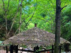 -九龙潭景区