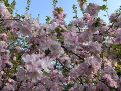 -山东外贸职业学院