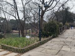 -西溪国家湿地公园