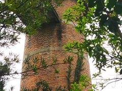 -杭州半山国家森林公园