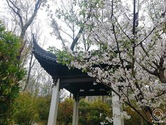 -南京东郊国宾馆