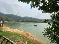 -水濂山森林公园