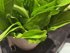-捞王猪肚鸡火锅(金华义乌之心店)